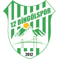 12 Bingolspor